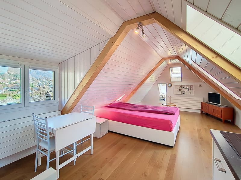 EXCLUSIVE! 12.5-room villa renovated with lake view (18)