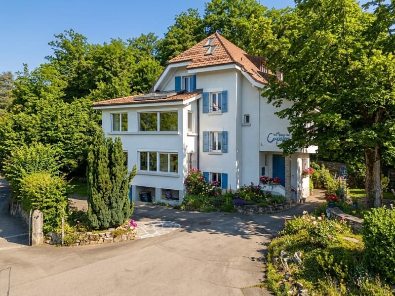 EXCLUSIVE! 12.5-room villa renovated with lake view (21)