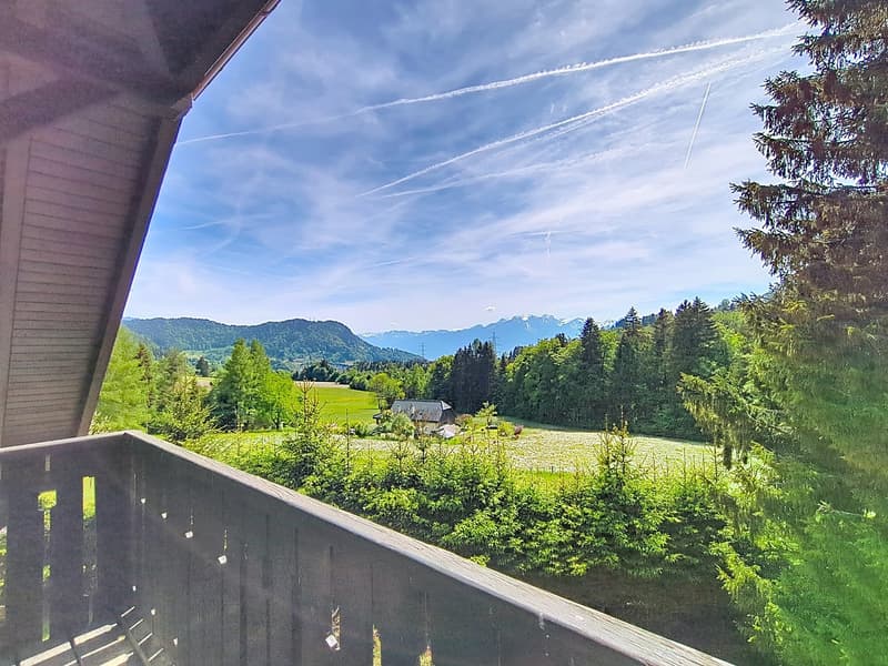 Großes Chalet im Herzen der Natur und nahe bei Vevey und Montreux (1)