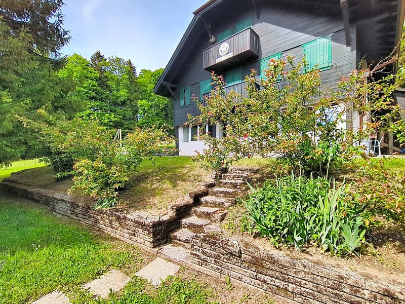 Großes Chalet im Herzen der Natur und nahe bei Vevey und Montreux (14)