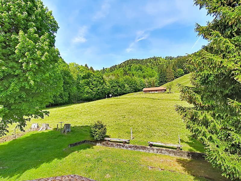 Großes Chalet im Herzen der Natur und nahe bei Vevey und Montreux (17)