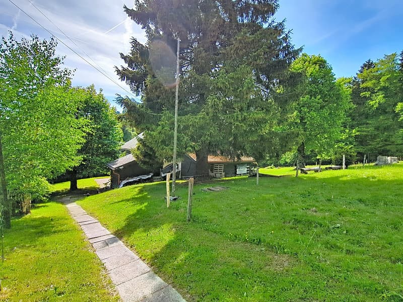 Großes Chalet im Herzen der Natur und nahe bei Vevey und Montreux (15)