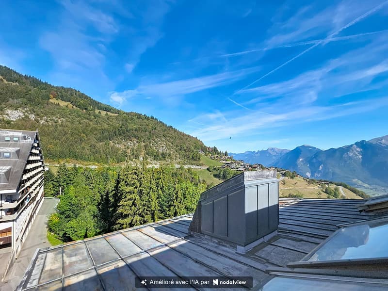 Duplex 3.5P avec grand balcon au coeur de Torgon (9)