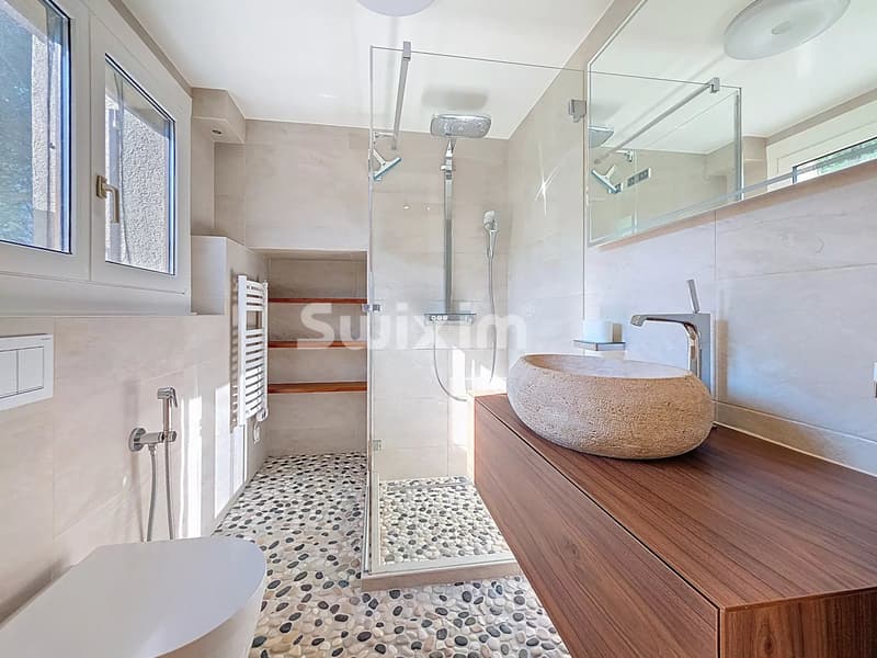Charming family house with pool in Chavannes des Bois (6)