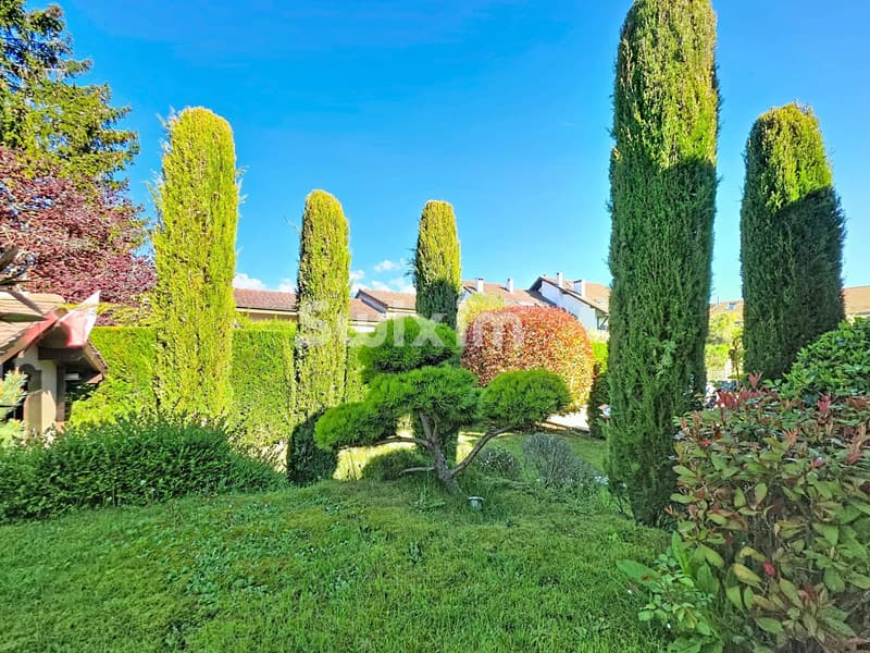 Charming family house with pool in Chavannes des Bois (12)