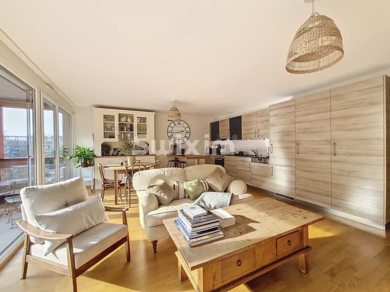 Bright 4-room apartment on a higher floor Plainpalais close to the Arve / Carouge (2)