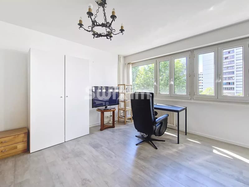 Helles und großes Studio von 34 m² in Lancy (4)