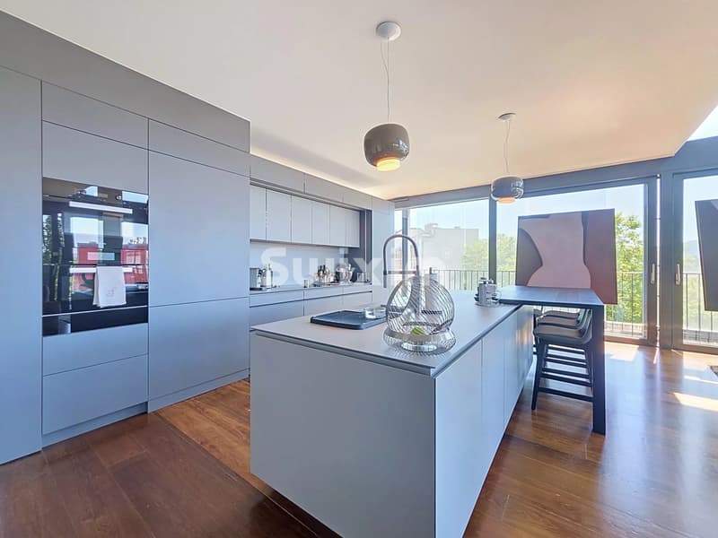 Loft en attique aux prestations uniques (3)