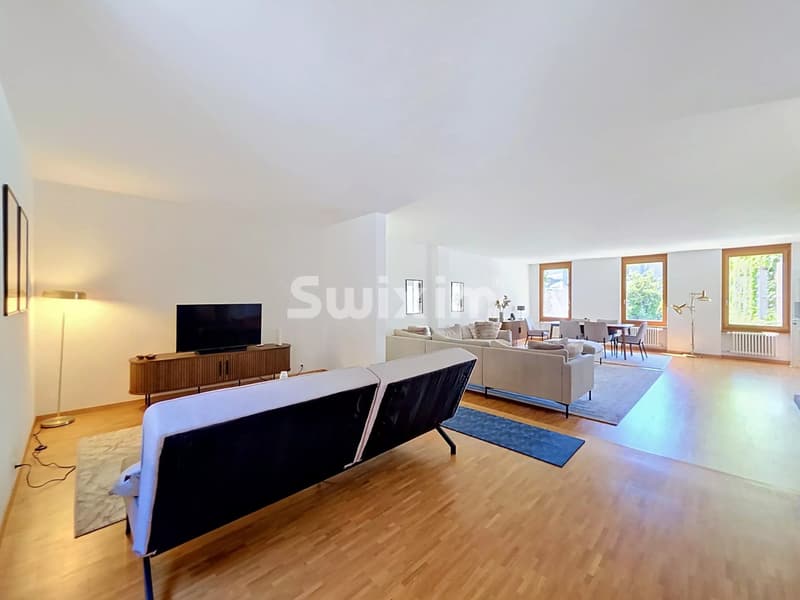 Superbe appartement classique vieille ville Genève (4)