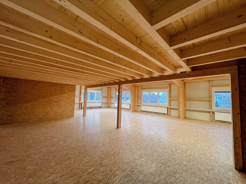 Spazio commerciale e ufficio moderno al piano superiore 310 m2 a Schlatt TG (2)