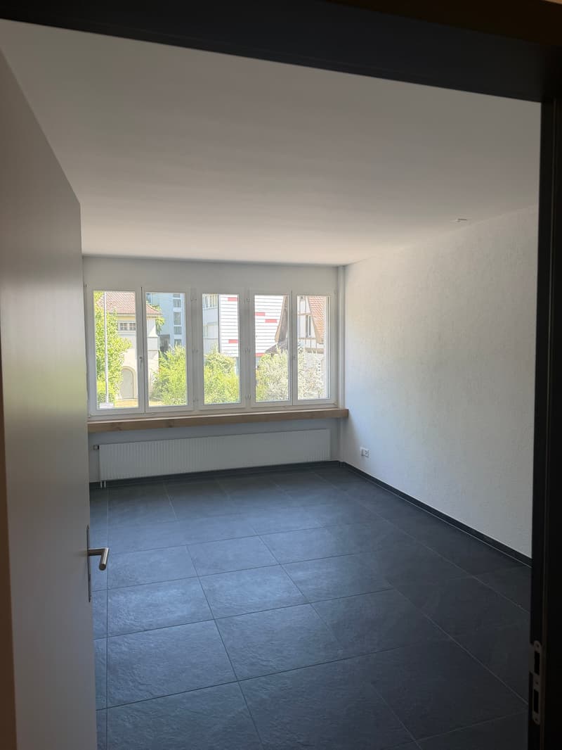 Helle Büro- und Praxisräume in Schaffhausen als Gesamtfläche zu vermieten Nr. 1.1 bis 1.7 (3)