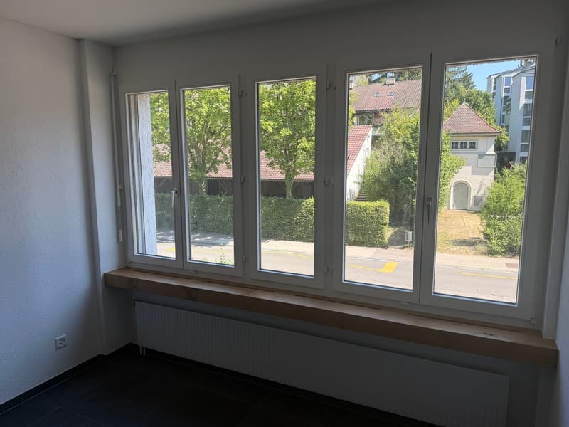 Helle Büro- und Praxisräume in Schaffhausen als Gesamtfläche zu vermieten Nr. 1.1 bis 1.7 (2)