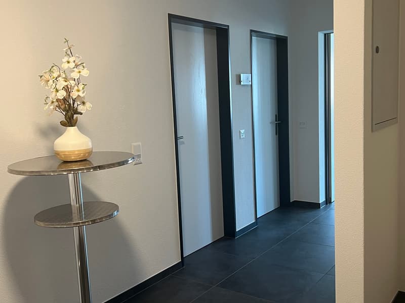 Heller Gewerbe-/Büroraum (31 m2) in Rafz (Raum-Nr. 1.4) (2)