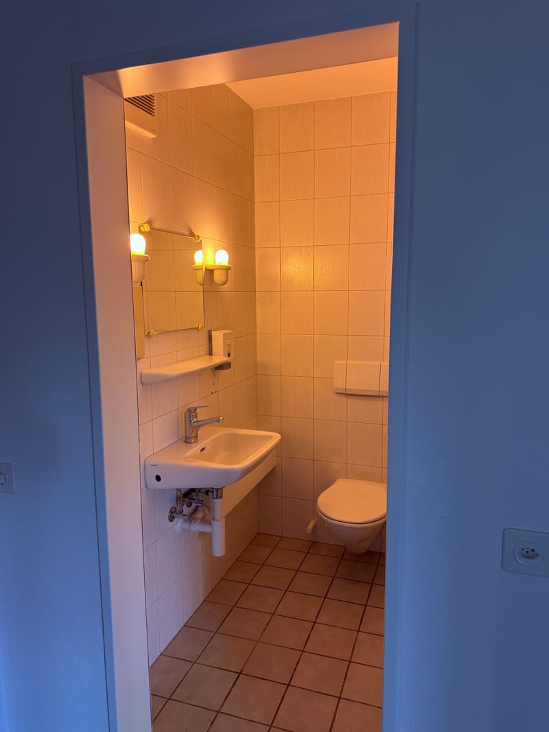 Heller Gewerbe-/Büroraum (31 m2) in Rafz (Raum-Nr. 1.4) (6)