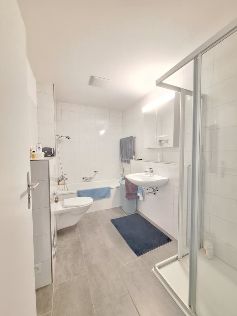 Appartamento singolo soleggiato con chic e molta privacy, tra Winterthur e Zurigo (7)