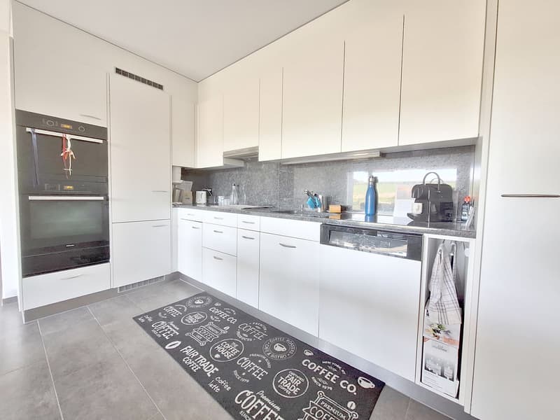 Appartamento singolo soleggiato con chic e molta privacy, tra Winterthur e Zurigo (4)