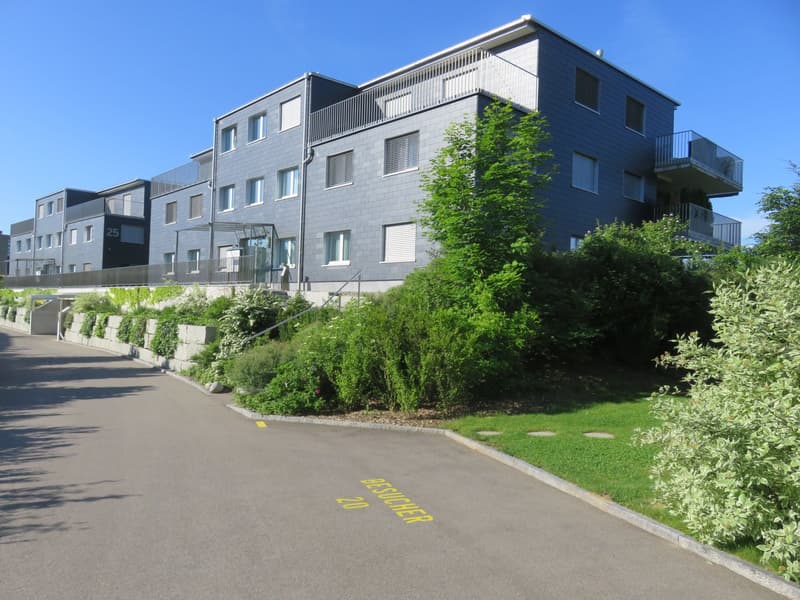 Appartamento singolo soleggiato con chic e molta privacy, tra Winterthur e Zurigo (10)