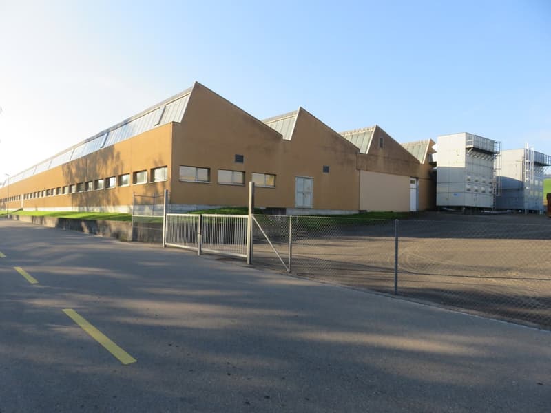 Ca. 11m langer Aussenparkplatz in eingezäuntem Industriegelände Wängi TG (2)