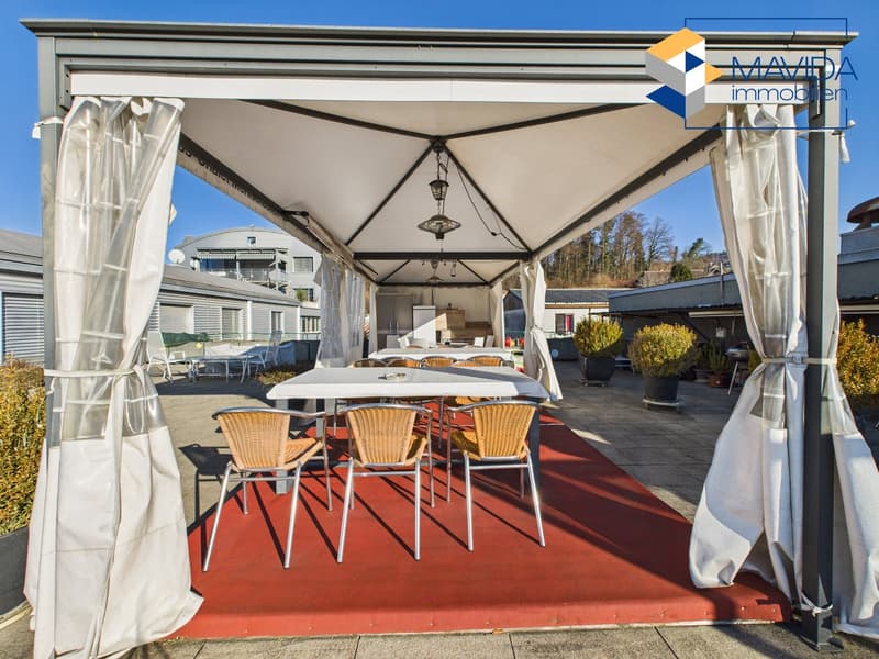 Furnished with communal terrace (7)