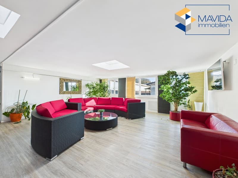 Furnished with communal terrace (5)
