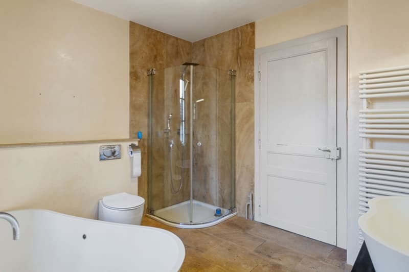 tub, toilet, walk-in shower, wooden floor, wall-mounted towel rack, faucet