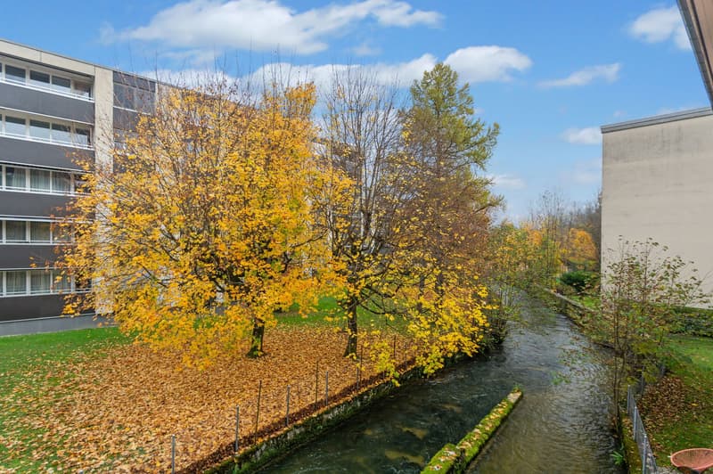 Multistory residential building, surrounded by a river and trees, autumn landscape, leaves on the ground