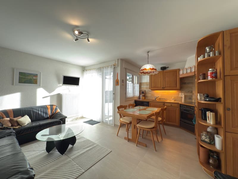 modern living room with leather sofa, glass table, dining table with chairs, wooden kitchen cabinets, oven, TV
