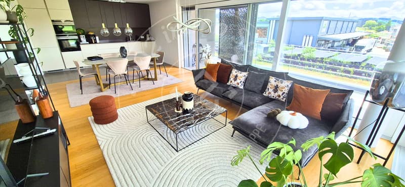 Very beautiful 4.5-room apartment on the 3rd floor (1)