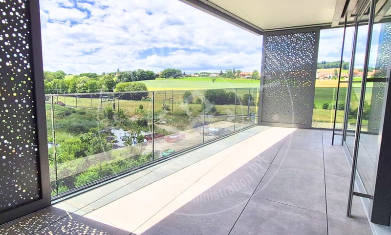 Very beautiful 4.5-room apartment on the 3rd floor (4)