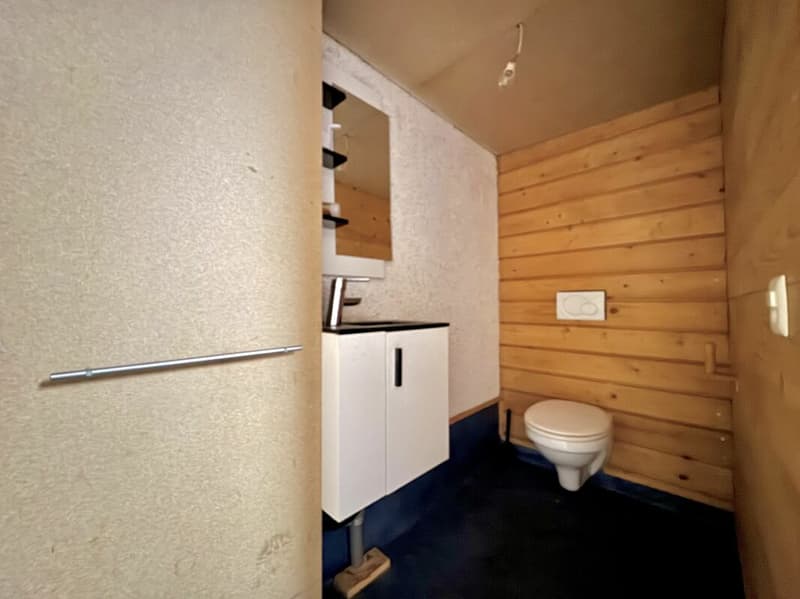 Detached house with land reserve and horse stable - Development potential (14)