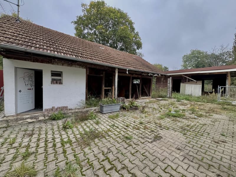 Detached house with land reserve and horse stable - Development potential (12)