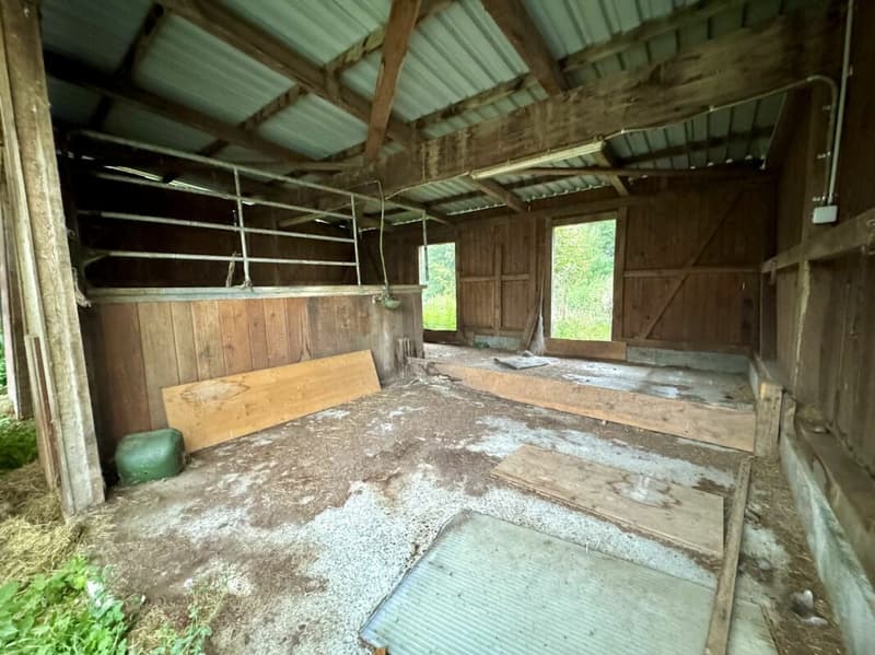 Detached house with land reserve and horse stable - Development potential (13)