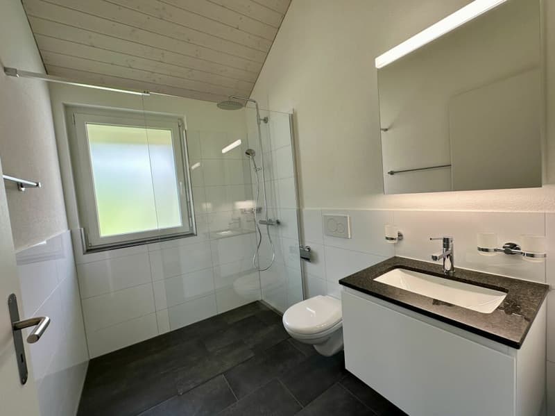 Nouveau bâtiment 3,5 pièces appartement maisonnette avec grande galerie A5 (6)