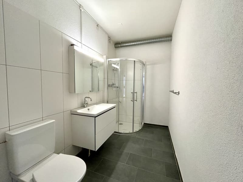 Maison d'habitation et de commerce au sous-sol avec un potentiel d'utilisation polyvalent (11)
