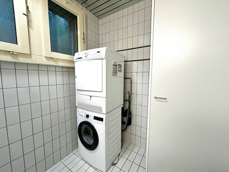 Maison d'habitation et de commerce au sous-sol avec un potentiel d'utilisation polyvalent (15)