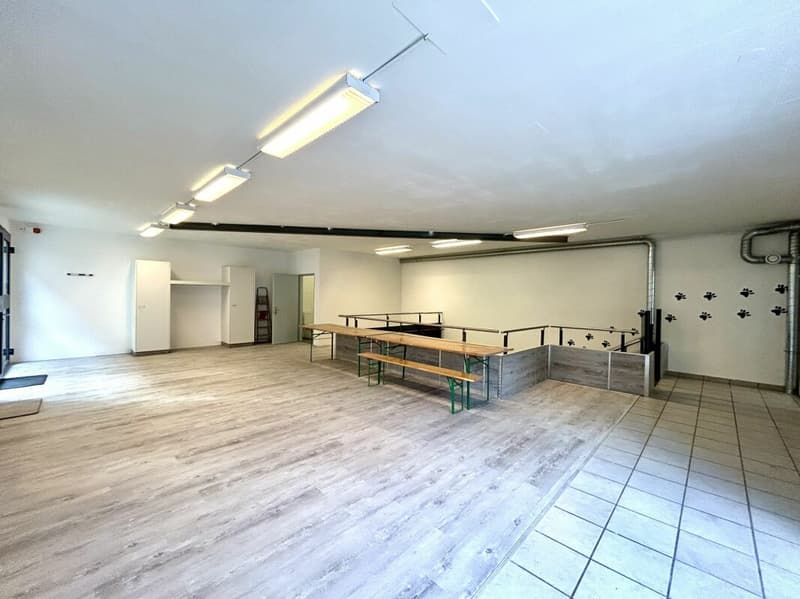 Maison d'habitation et de commerce au sous-sol avec un potentiel d'utilisation polyvalent (10)