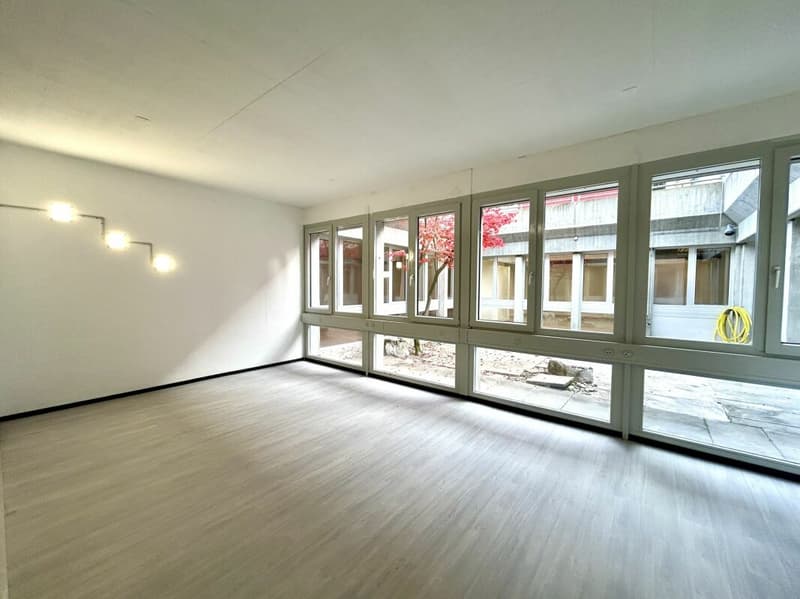 Maison d'habitation et de commerce au sous-sol avec un potentiel d'utilisation polyvalent (7)