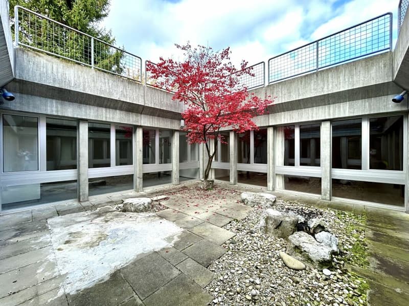 Casa residenziale e commerciale al piano inferiore con potenziale di utilizzo polivalente copia (17)