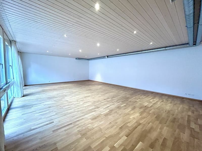 Casa residenziale e commerciale al piano inferiore con potenziale di utilizzo polivalente copia (8)