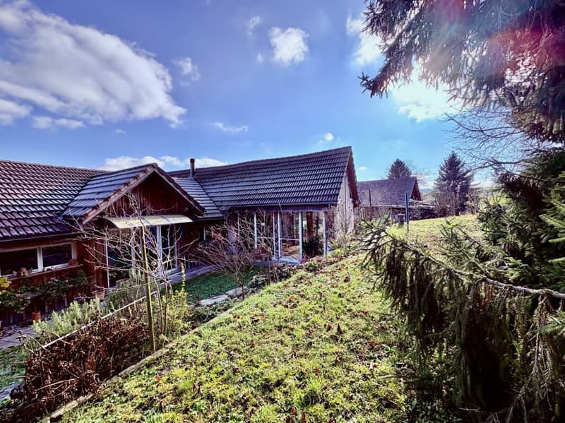 Ort der Weite - Una casa che dà spazio (4)