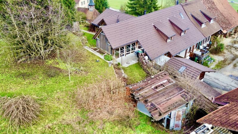 Ort der Weite - Una casa che dà spazio (8)