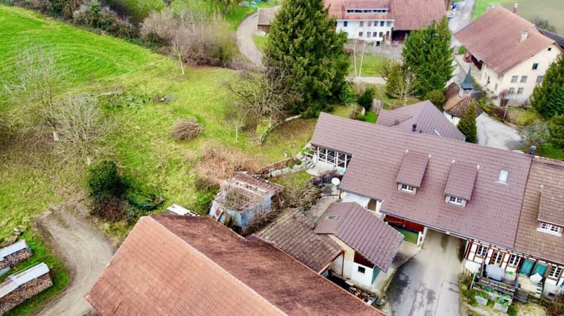Ort der Weite - Una casa che dà spazio (9)