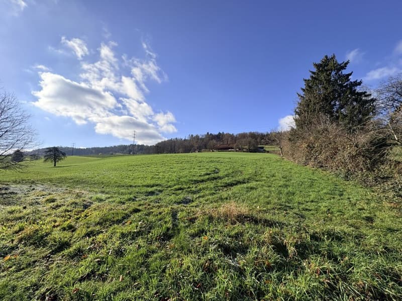 Ort der Weite - Una casa che dà spazio (6)