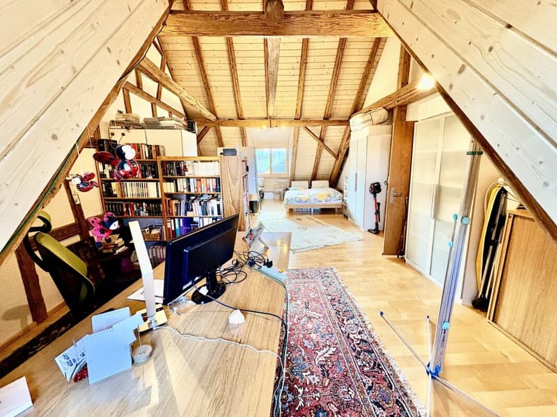 Ort der Weite - Una casa che dà spazio (20)