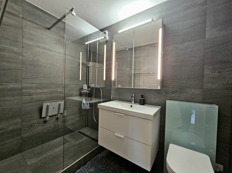 Appartamento 4.5 locali ben mantenuto e luminoso con balcone e vista panoramica (10)