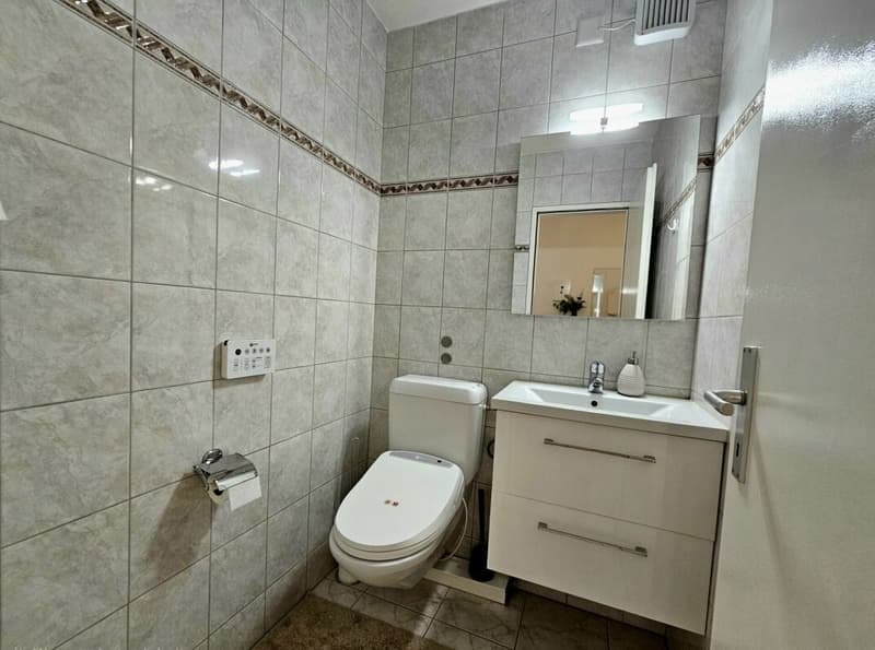 Appartamento 4.5 locali ben mantenuto e luminoso con balcone e vista panoramica (13)