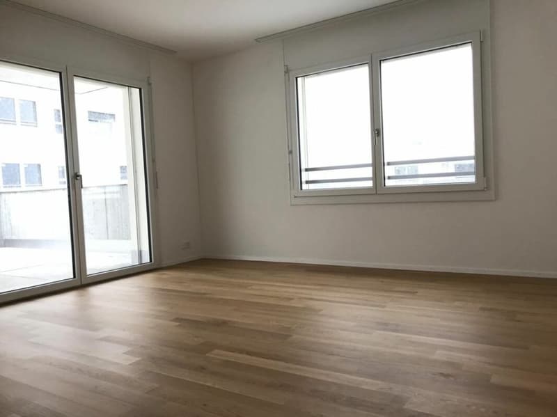 Appartement d'attique exclusif avec grande terrasse et vue panoramique à Schötz (6)