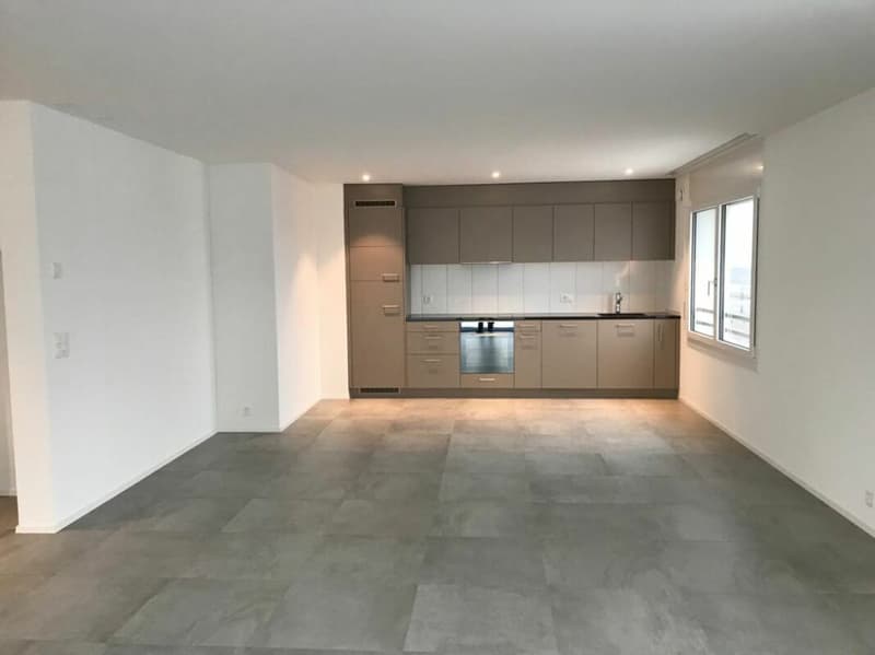 Appartement d'attique exclusif avec grande terrasse et vue panoramique à Schötz (5)
