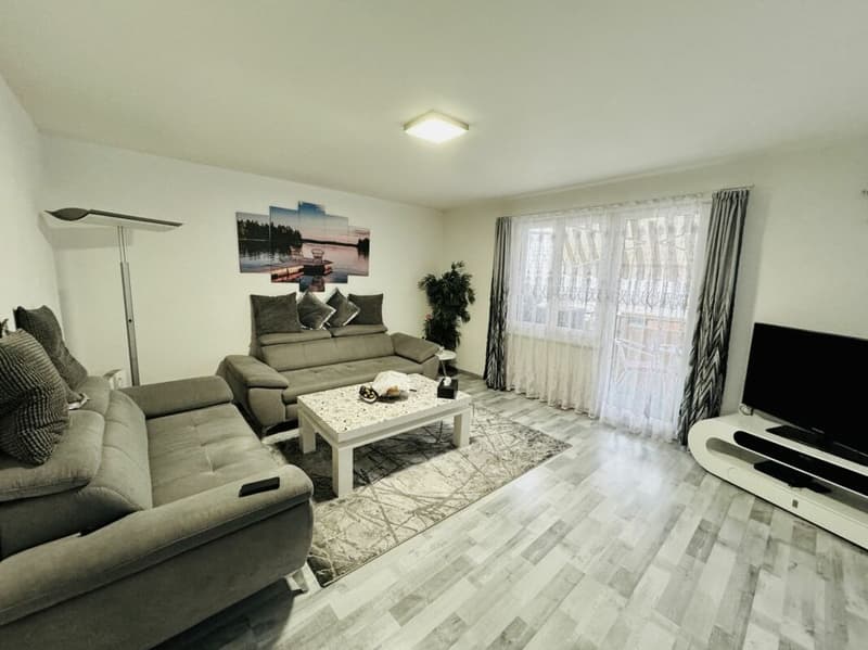 Investimento sicuro Casa familiare completamente affittata a Brüttisellen (4)
