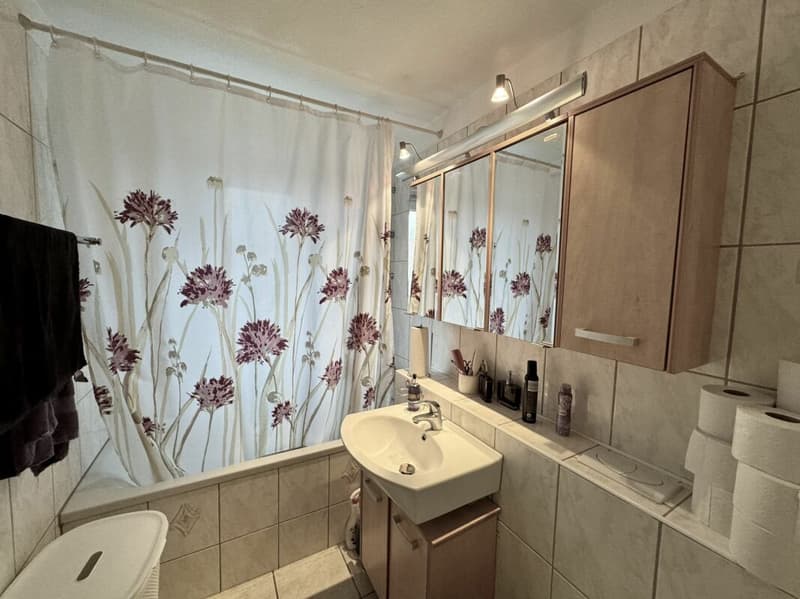 Investimento sicuro Casa familiare completamente affittata a Brüttisellen (6)